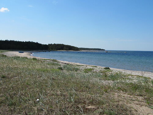 Saaremaa vald Pahapilli, 3.93 ha