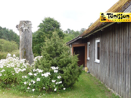 Saaremaa vald Mustjala, 3 tuba, 1. korrus, 1 korrust, 86 m²