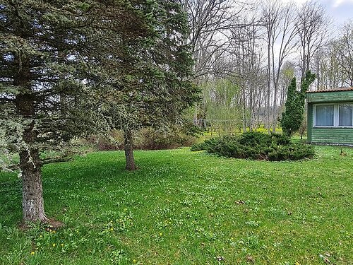 Saaremaa vald Kangrusselja, 1.31 ha