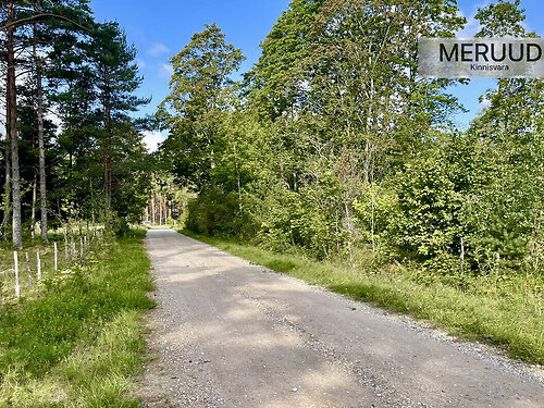 Saaremaa vald Nurme, 1.53 ha