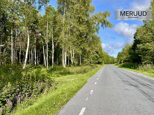 Saaremaa vald Laugu, 1.5 ha