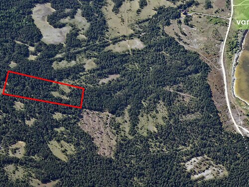 Saaremaa vald Kihelkonna-Liiva, 3.11 ha