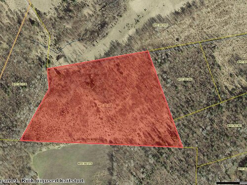 Saaremaa vald Torgu-Mõisaküla, 5 ha