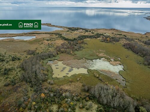 Saaremaa vald Kungla, 6.89 ha