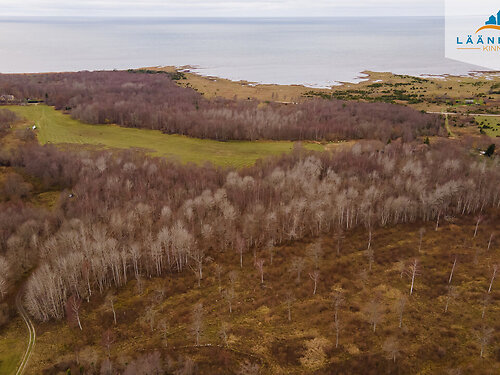 Saaremaa vald Rahuste, 5 ha