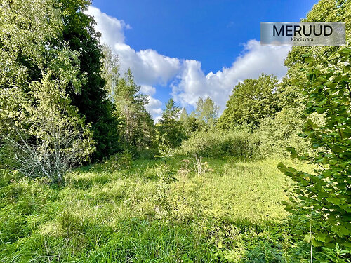 Saaremaa vald Vilidu, 2.51 ha