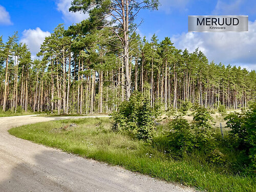 Saaremaa vald Nurme, 1.66 ha