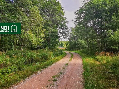 Saaremaa vald Mõntu Lepiku, 2.66 ha