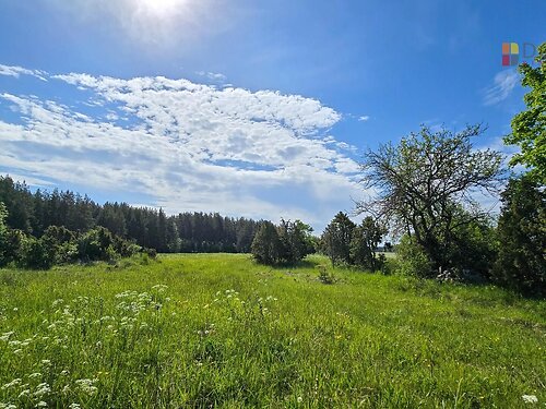 Muhu vald Nurme, 2 ha