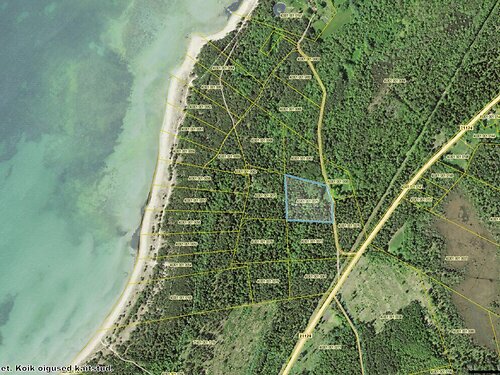 Saaremaa vald Leisi küla, 1.22 ha