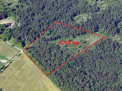 Saaremaa vald Kaarma-Kirikuküla, 5.57 ha