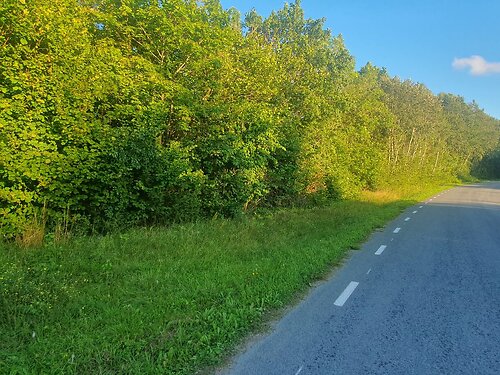 Saaremaa vald Turja, 6815 m²