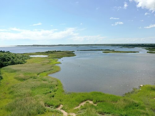 Saaremaa vald Kõiguste, 8.98 ha
