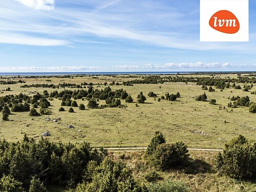 Saaremaa vald Karala, 18.53 ha