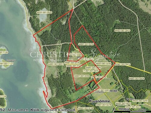 Saaremaa vald Kuusnõmme, 59 ha