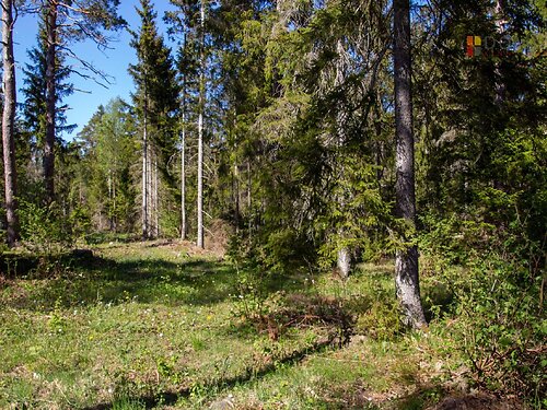 Saaremaa vald Raugu, 1.05 ha