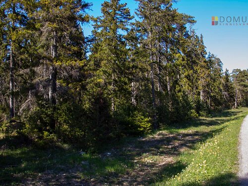 Saaremaa vald Raugu, 1.03 ha