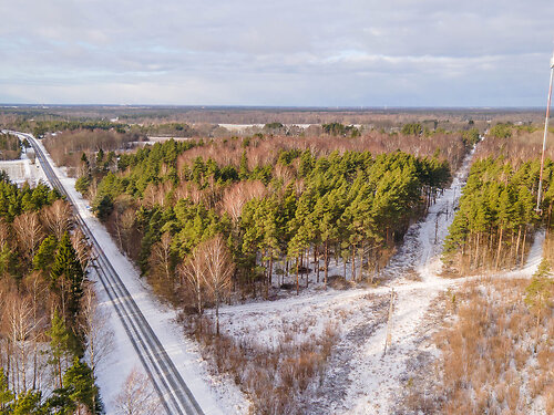 Saaremaa vald Vaivere, 1.03 ha