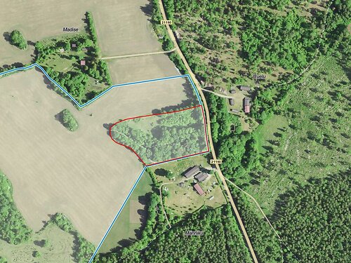 Saaremaa vald Valjala-Nurme, 1.2 ha