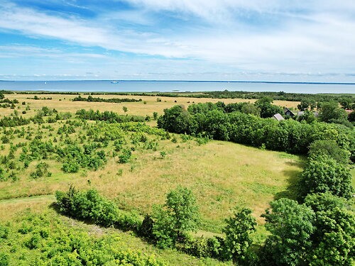 Muhu vald Võiküla, 4063 m²