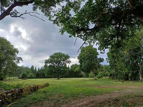 Saaremaa vald Leisi küla, 1.7 ha