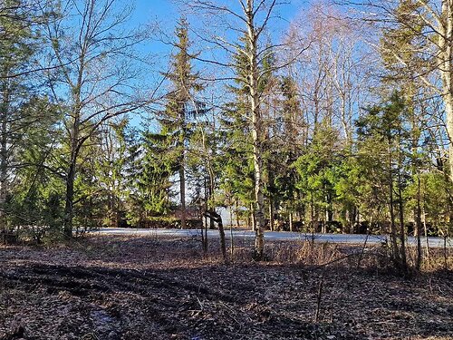 Saaremaa vald Kotlandi, 3355 m²