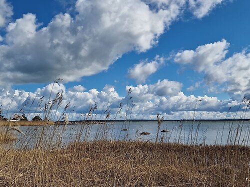 Saaremaa vald Triigi, 1.66 ha