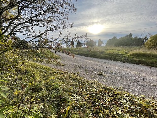 Saaremaa vald Kehila, 2.05 ha