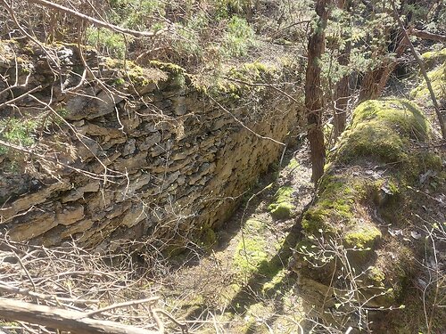 Saaremaa vald Kõruse, 1.07 ha