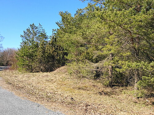 Muhu vald Koguva, 1.22 ha