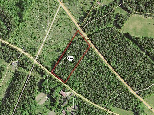 Saaremaa vald Viki, 1.3 ha