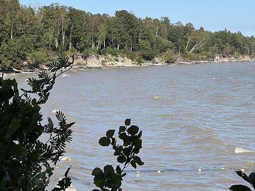 Saaremaa vald Torgu-Mõisaküla 17, 1.2 ha