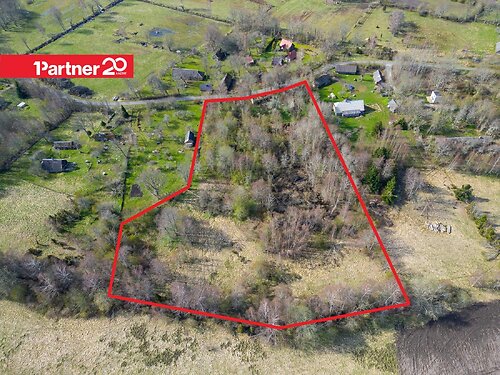 Saaremaa vald Vedruka, 1.37 ha