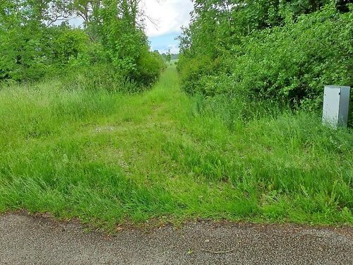 Saaremaa vald Leisi küla, 4832 m²