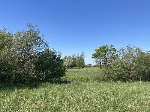 Saaremaa vald Virita, 1.07 ha