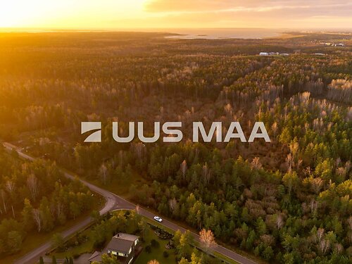 Saaremaa vald Upa 10, 4644 m²