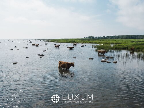 Muhu vald Paenase, 4705 m²