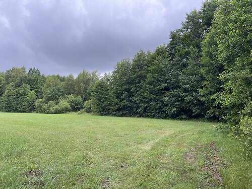 Saaremaa vald Metsara, 4.78 ha