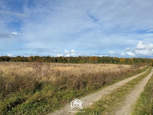 Saaremaa vald Pammana, 2.57 ha