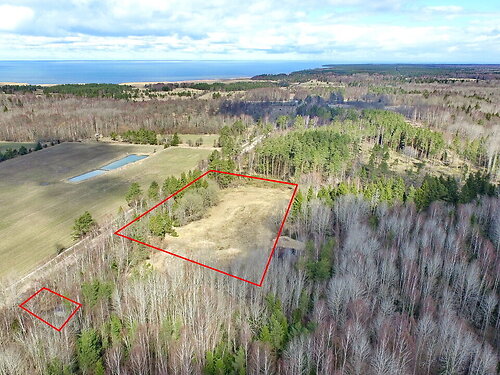 Saaremaa vald Leisi küla, 9144 m²