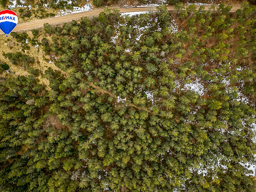 Saaremaa vald Kellamäe, 1.38 ha