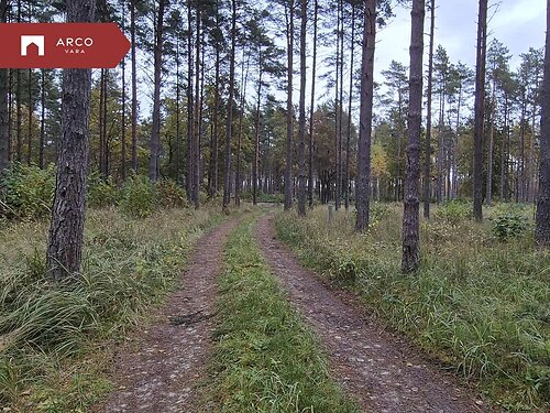 Saaremaa vald Mändjala, 4904 m²