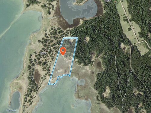 Saaremaa vald Muraja, 4.97 ha