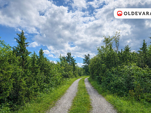 Muhu vald Rässa, 1.22 ha