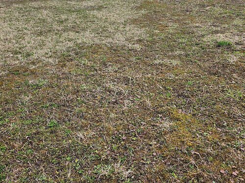 Saaremaa vald Kudjape 2, 9413 m²