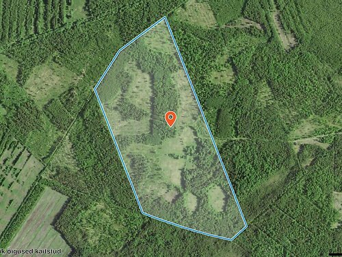 Saaremaa vald Leisi küla, 57.7 m²