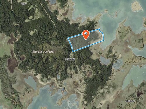 Saaremaa vald Muraja, 10.04 ha