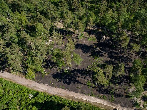 Saaremaa vald Mändjala 7, 5081 m²