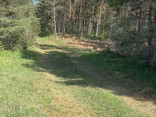 Saaremaa vald Austla, 9897 m²