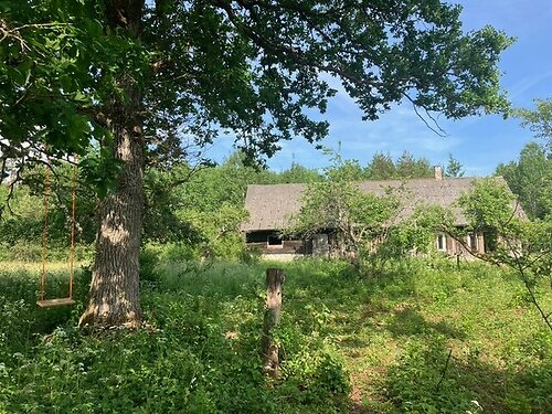 Saaremaa vald Jõe, 3.69 ha